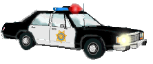 copcar.gif (24238 bytes)