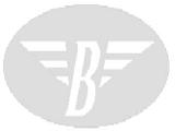 logoB.jpg (1753 bytes)